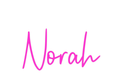 Custom Neon: Norah - Neon Filter