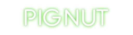 Custom Neon: PigNut - Neon Filter