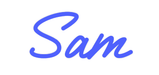 Custom Neon: Sam - Neon Filter