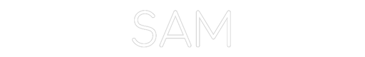 Custom Neon: SAM - Neon Filter