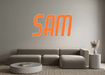 Custom Neon: SAM - Neon Filter