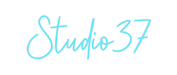 Custom Neon: Studio37 - Neon Filter