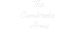 Custom Neon: The Cambroo... - Neon Filter