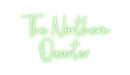 Custom Neon: The Northern ... - Neon Filter