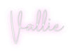 Custom Neon: Vallie - Neon Filter