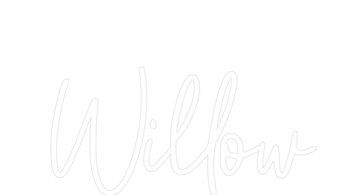 Custom Neon: Willow - Neon Filter