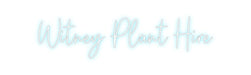 Custom Neon: Witney Plant ... - Neon Filter