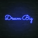 Dream Big Neon Sign - Neon Filter