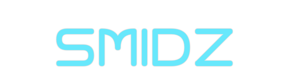 Custom Neon: SMIDZ