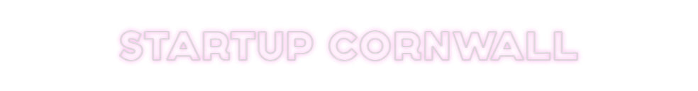 Custom Neon: STARTUP CORNW...