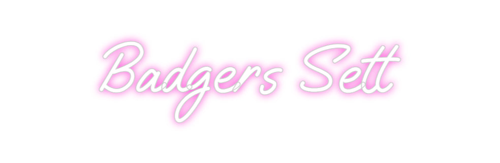 Custom Neon: Badgers Sett