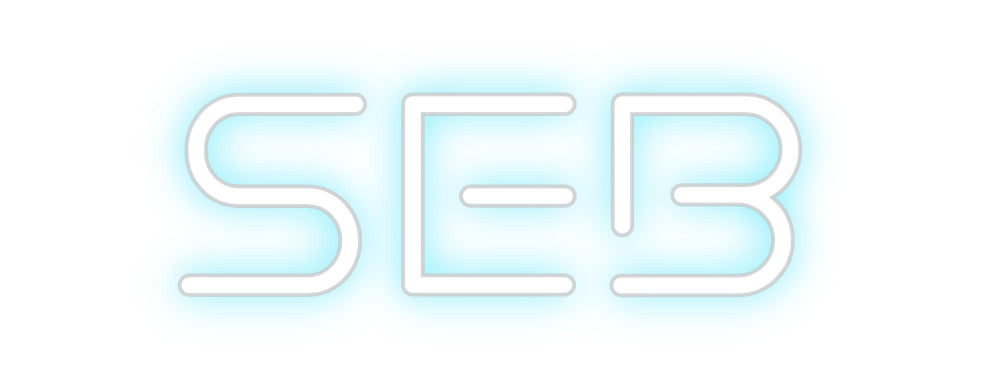 Custom Neon: Seb