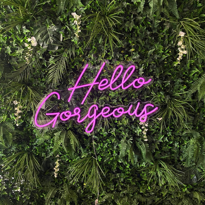 Hello Gorgeous Neon Sign - Neon Filter