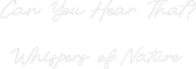 Custom Neon: Can You Hear ...