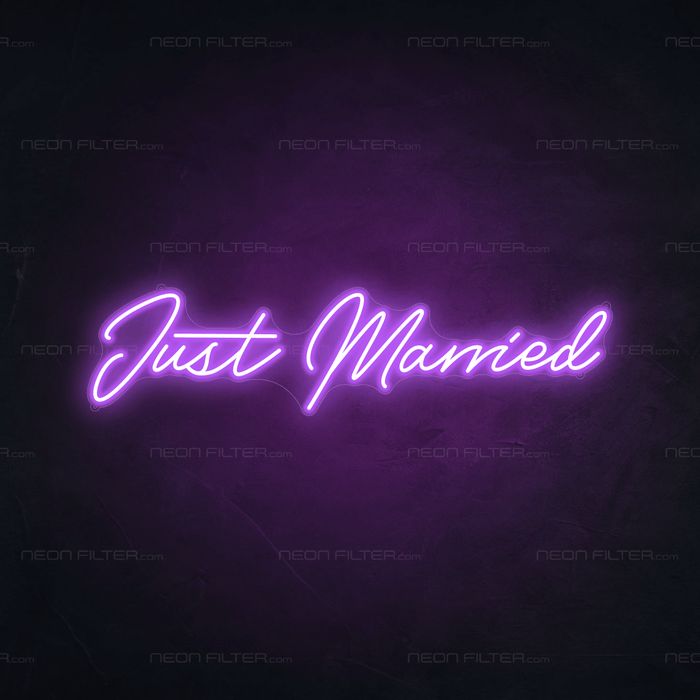 Just Married Neon Light - Neon Filter