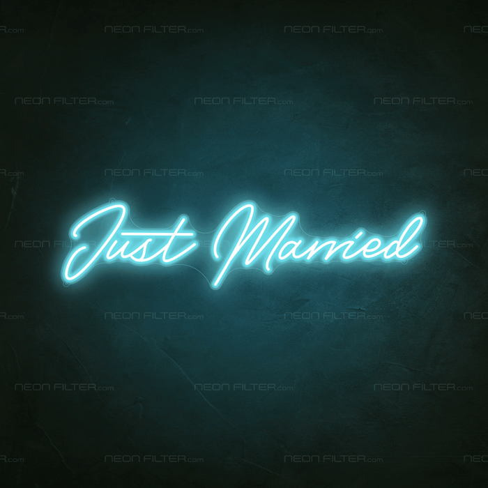 Just Married Neon Light - Neon Filter