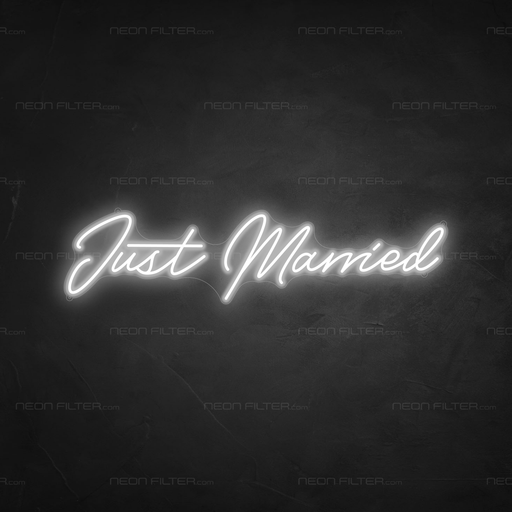 Just Married Neon Light - Neon Filter