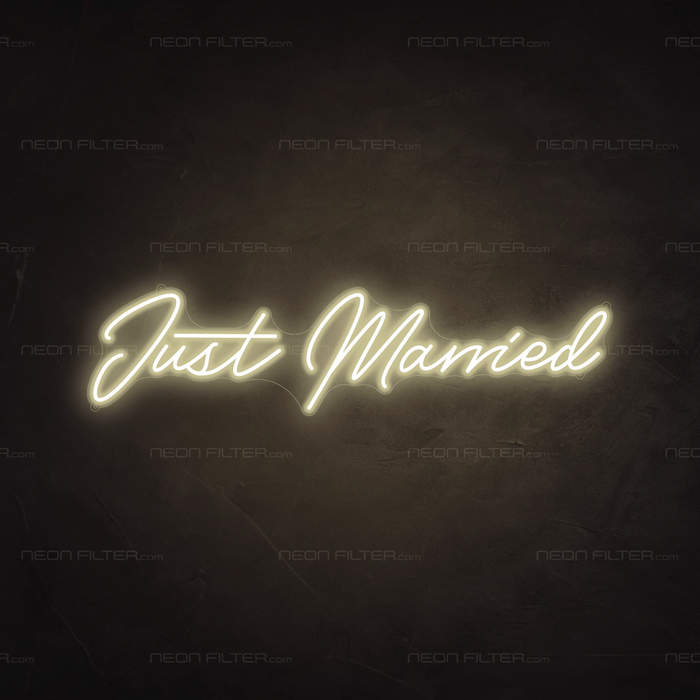 Just Married Neon Light - Neon Filter