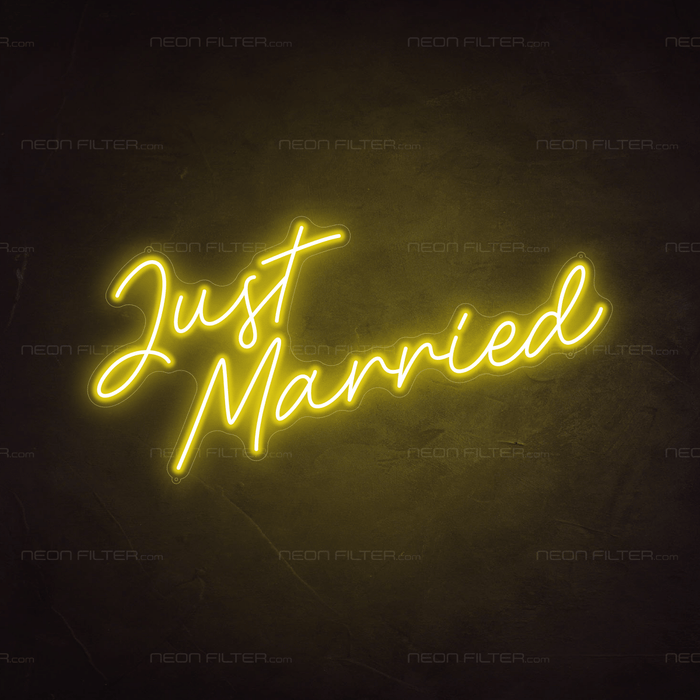 Just Married Neon Sign - Neon Filter