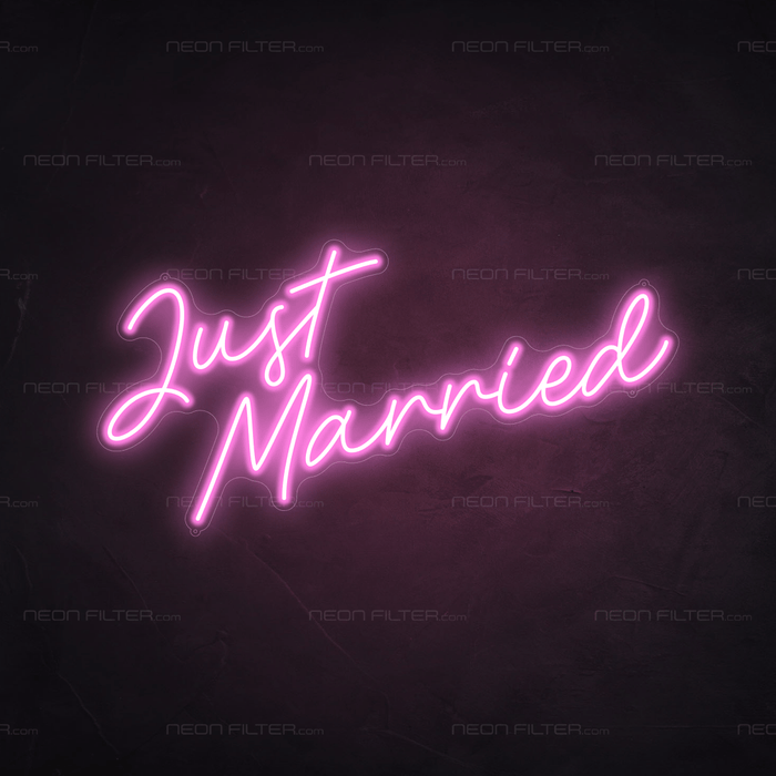 Just Married Neon Sign - Neon Filter