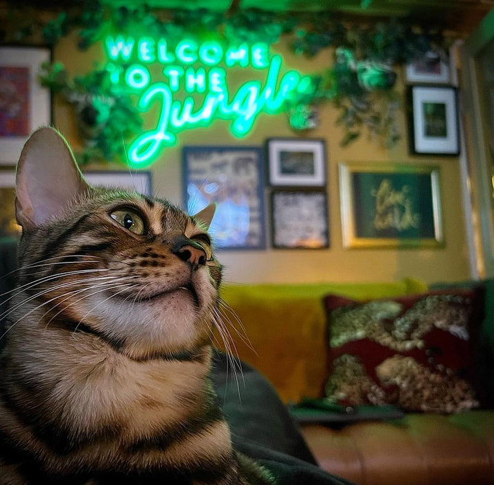 Green welcome to the jungle sign with cat