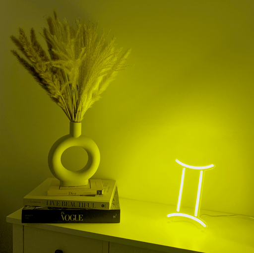 Mini Gemini Neon Sign - Neon Filter