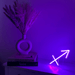 Mini Sagittarius Neon Sign - Neon Filter