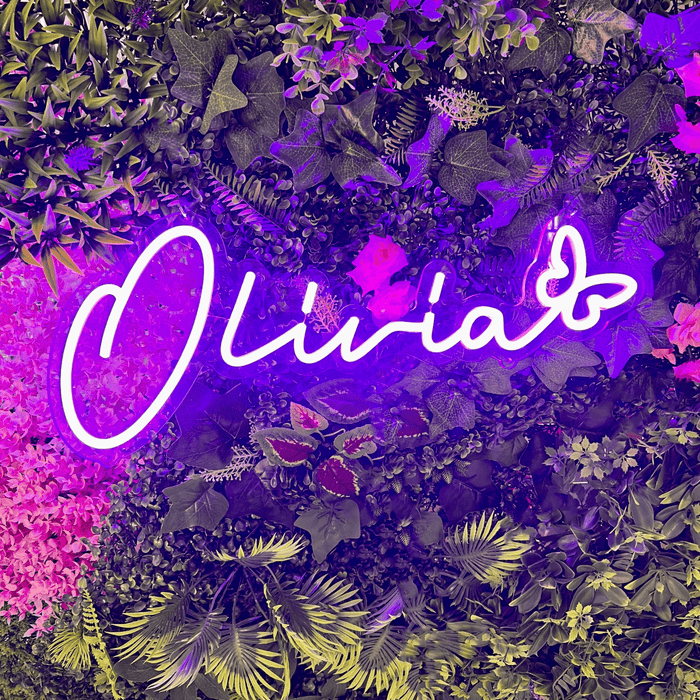 Name and Butterfly - Semi Customisable Name Neon Sign - Neon Filter