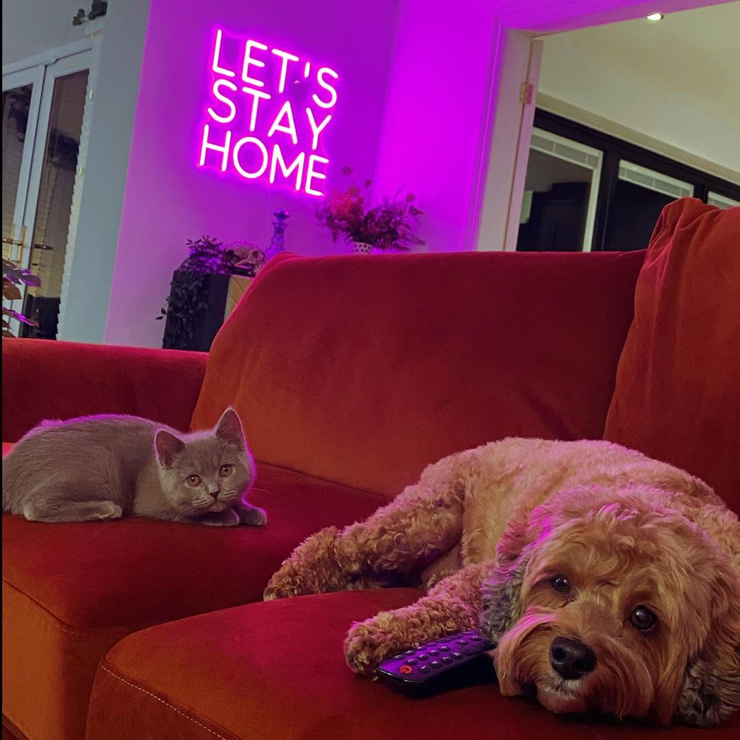 Dogn & cat in-front of pink Lets Stay Home neon sign - @rhiansuggers on Instagram