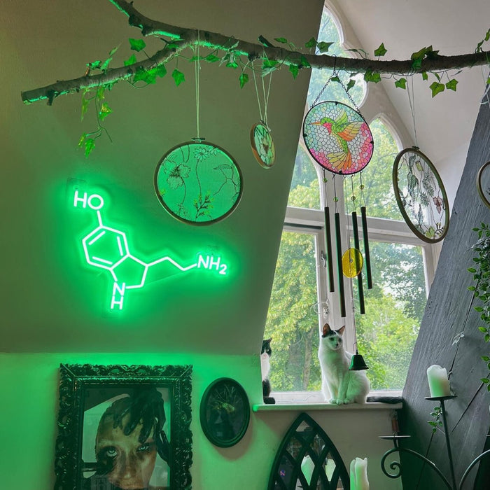 Serotonin Molecule Neon Sign - Neon Filter