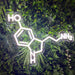 Serotonin Molecule Neon Sign - Neon Filter