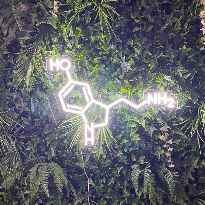 Serotonin Molecule Neon Sign - Neon Filter