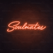 Soulmates Neon Sign - Neon Filter