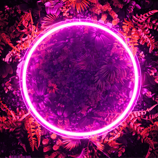 Stock Circle Neon Sign - Neon Filter