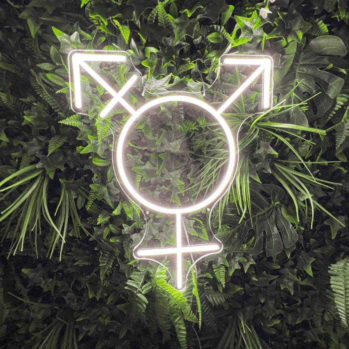 Transgender Symbol Neon Sign - Neon Filter