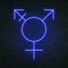 Transgender Symbol Neon Sign - Neon Filter