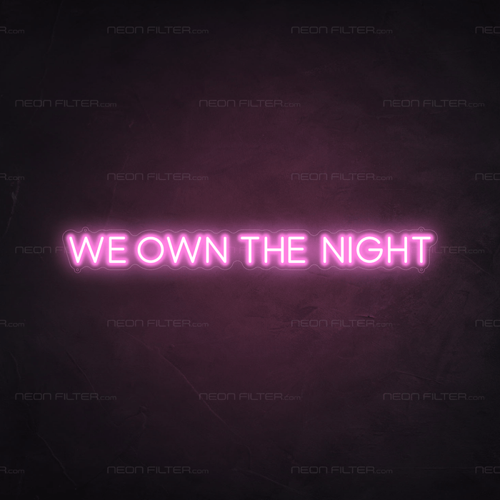 We Own The Night Neon Sign - Neon Filter