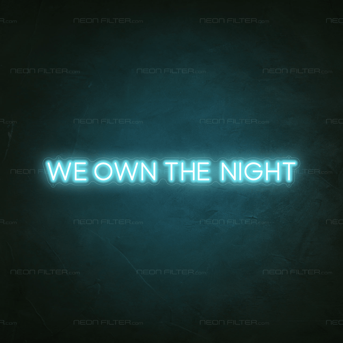 We Own The Night Neon Sign - Neon Filter