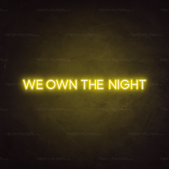 We Own The Night Neon Sign - Neon Filter