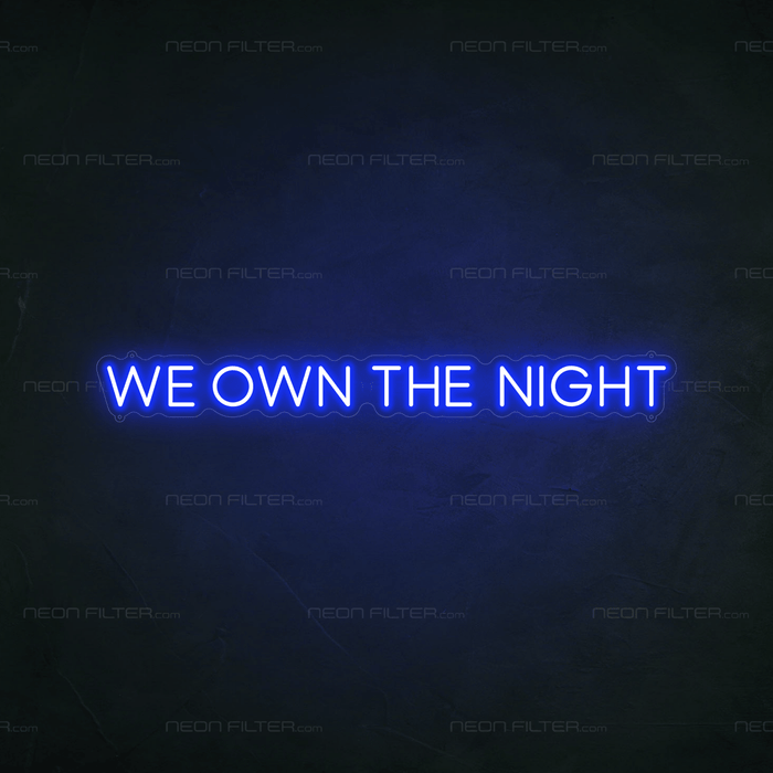 We Own The Night Neon Sign - Neon Filter