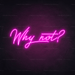 Why Not? Neon Sign - Neon Filter