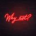 Why Not? Neon Sign - Neon Filter