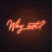 Why Not? Neon Sign - Neon Filter