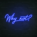 Why Not? Neon Sign - Neon Filter