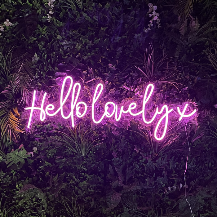 Hello lovely x Neon Sign