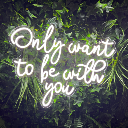Only want to be with you Neon Sign