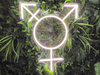 Transgender Symbol Neon Sign