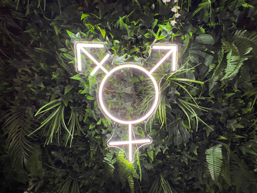 Transgender Symbol Neon Sign