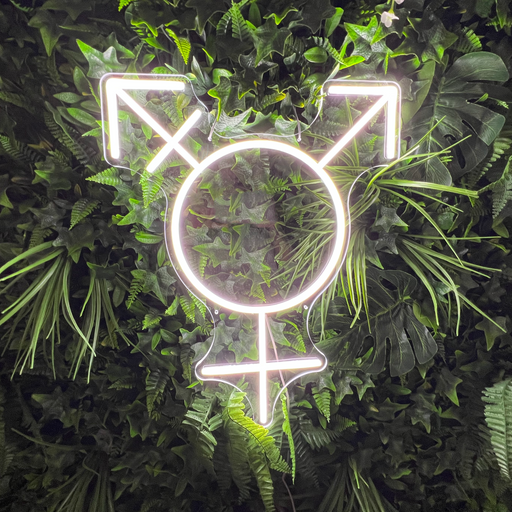 Transgender Symbol Neon Sign in Snow White
