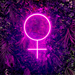 Female Symbol Neon Sign in bright hot pink
